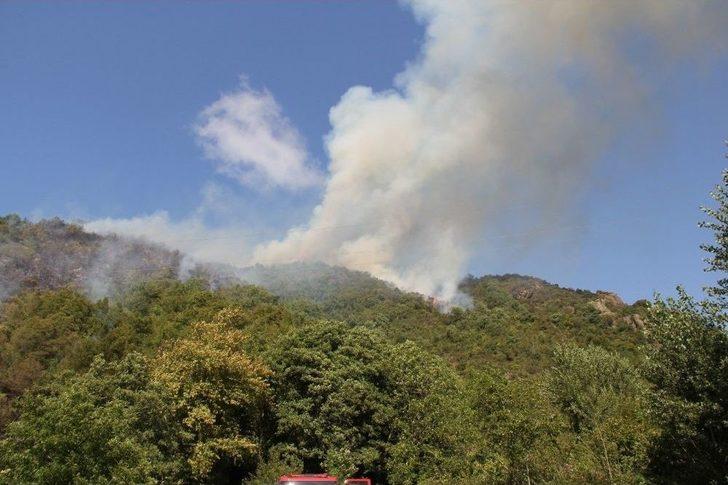 Kastamonu’da Çıkan Orman Yangını Helikopter İle Söndürüldü G1