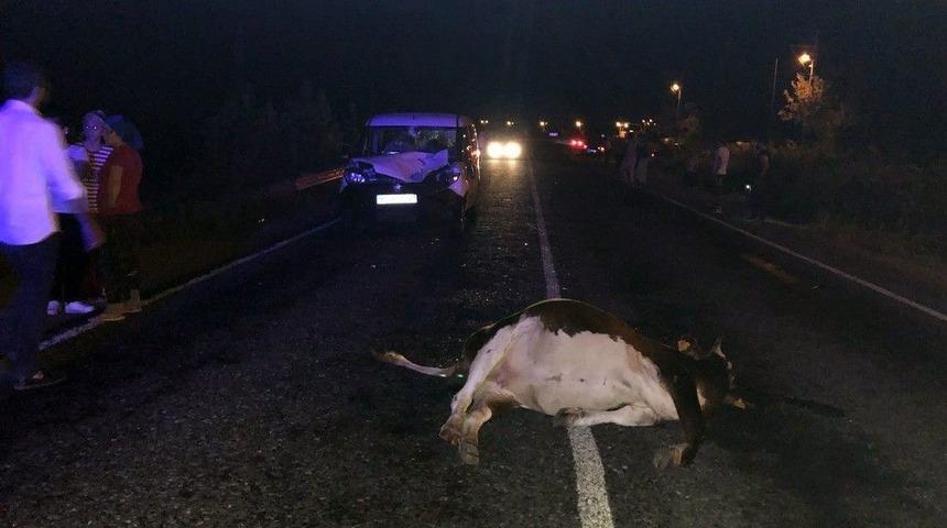 Otomobil İneğe &Ccedil;arptı: 3 Yaralı