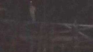 Leylek Göçü 10 Köyü Elektriksiz Bıraktı