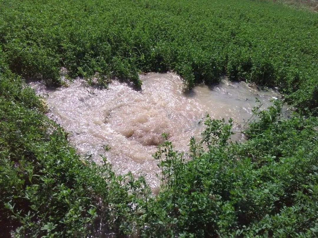 Boru Patladı, Mahsuller Su İ&ccedil;inde Y&uuml;zd&uuml;