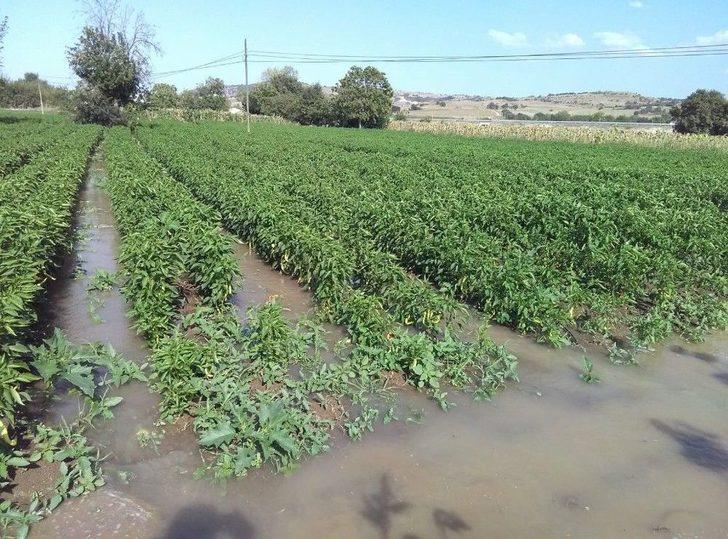 Boru Patladı, Mahsuller Su İçinde Yüzdü G1
