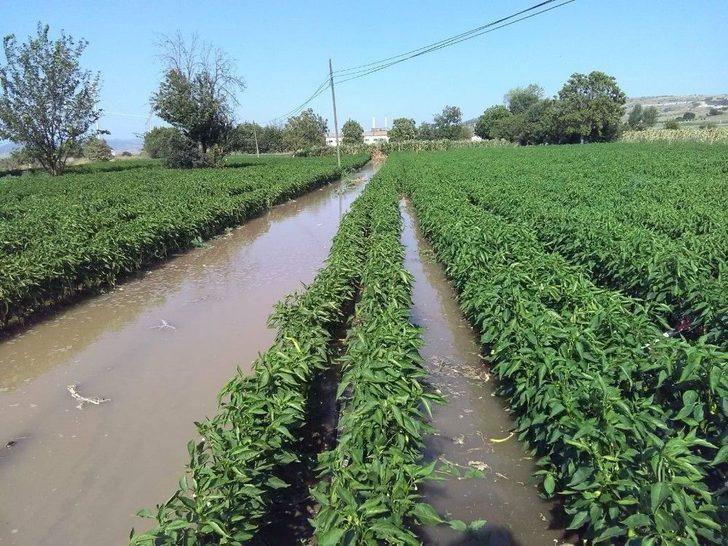 Boru Patladı, Mahsuller Su İçinde Yüzdü G2