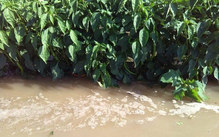 Boru Patladı, Mahsuller Su İçinde Yüzdü G3