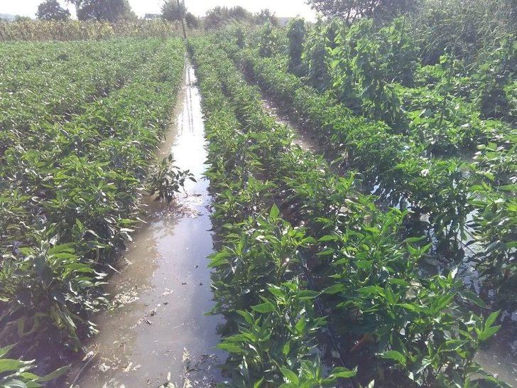 Boru Patladı, Mahsuller Su İçinde Yüzdü G4