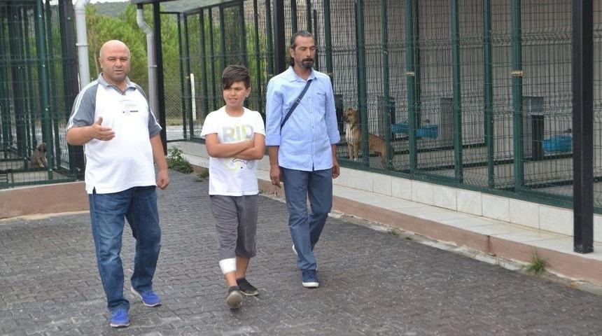 Bursa’da İki Çocuğu Isıran Köpek Yakalandı, Karantinaya Alındı