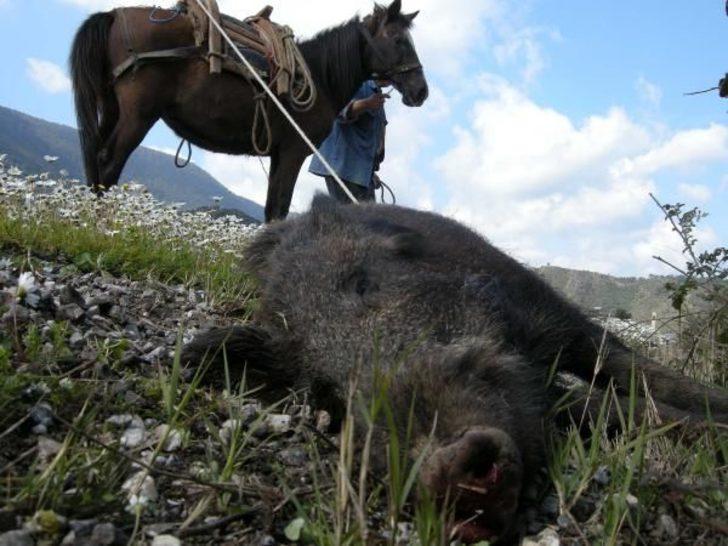 Büyük Menderes Nehri'ndeki hayvan leşlerinin görüntüleri olay yarattı G5