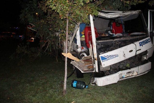 Kurbanlık Hayvan Y&uuml;kl&uuml; Kamyon Kaza Yaptı: 1 Yaralı 1