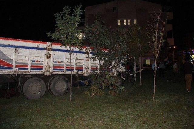 Kurbanlık Hayvan Y&uuml;kl&uuml; Kamyon Kaza Yaptı: 1 Yaralı 2