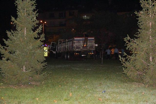 Kurbanlık Hayvan Y&uuml;kl&uuml; Kamyon Kaza Yaptı: 1 Yaralı 3