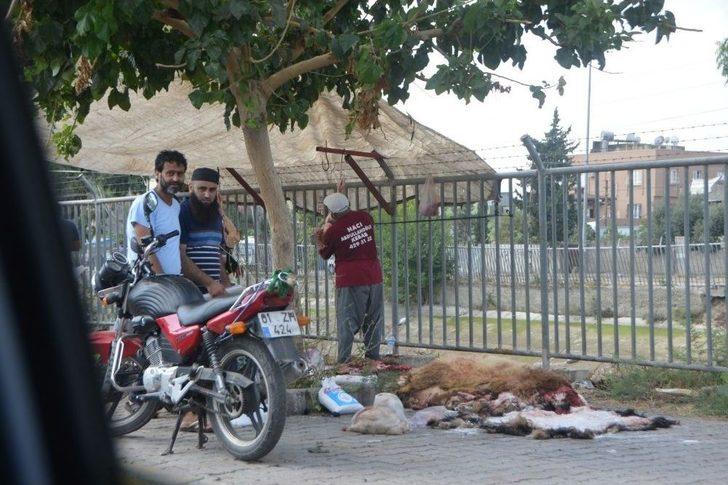 Kurban Keserken Ne Cezaya Ne De Çocuklara Aldırmadılar G1