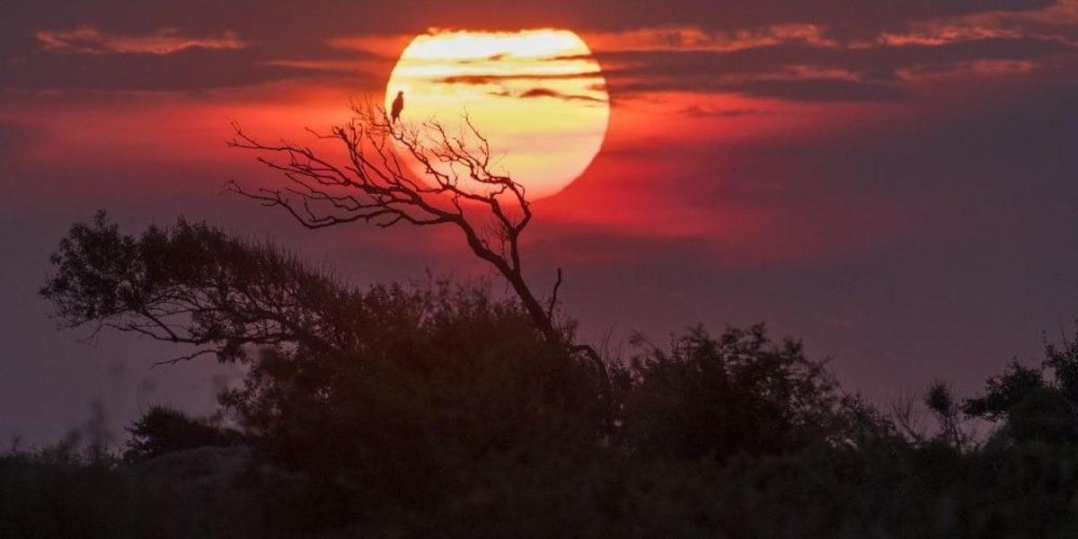 Longozdaki Sonbahar G&ouml;&ccedil;&uuml; Fotoğraflara B&ouml;yle Yansıdı
