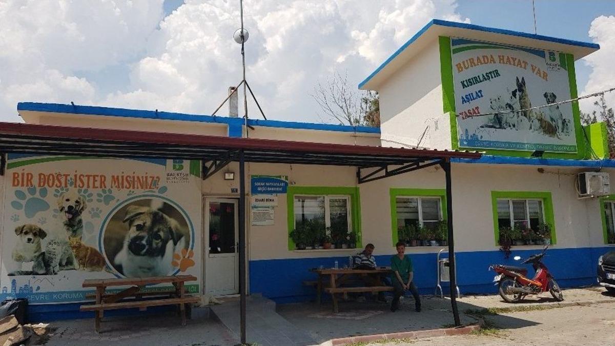 (&ouml;zel Haber) Sokak Hayvanları İ&ccedil;in Sosyal Sorumluluk Projesi