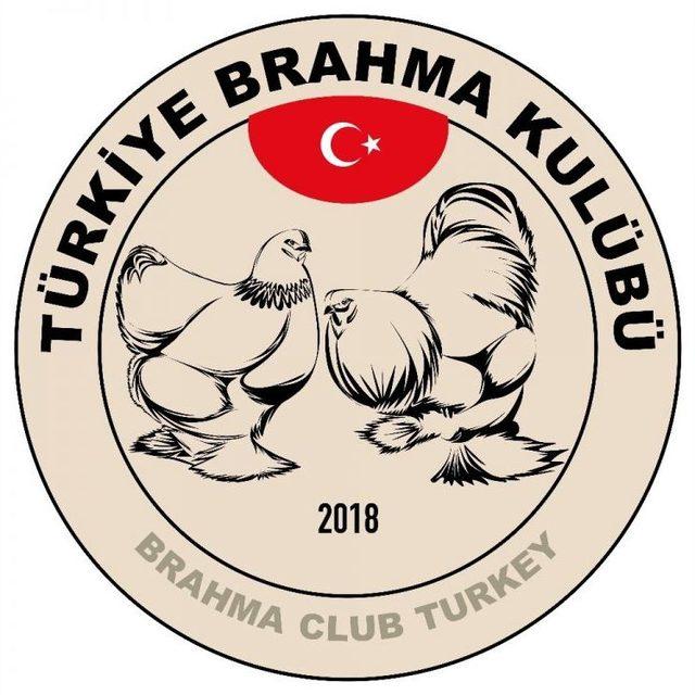 Brahma Süs Tavuğu Üreticileri Kulüp Kurdu