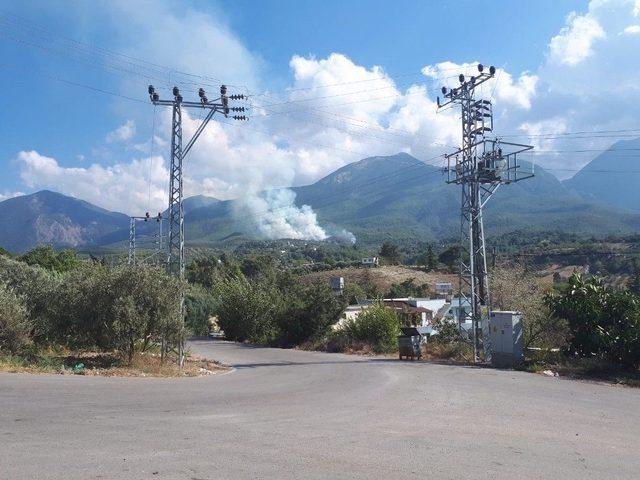 Hatay’da Orman Yangını