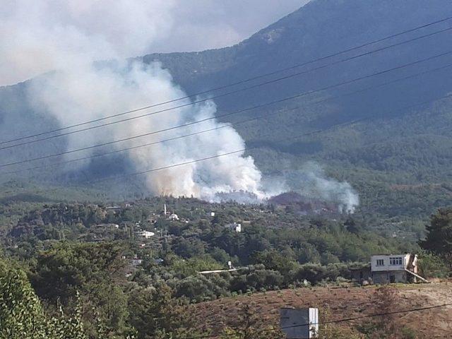 Hatay’da Orman Yangını