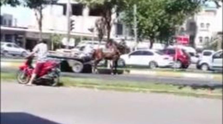 Aşırı Yüklü Arabayı Çekemeyen Atın Hali Görenleri Üzdü