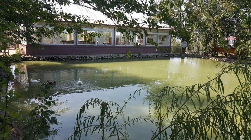 İşkur&rsquo;dan Aldığı Girişimcilik Belgesiyle Kendi İşinin Patronu Oldu