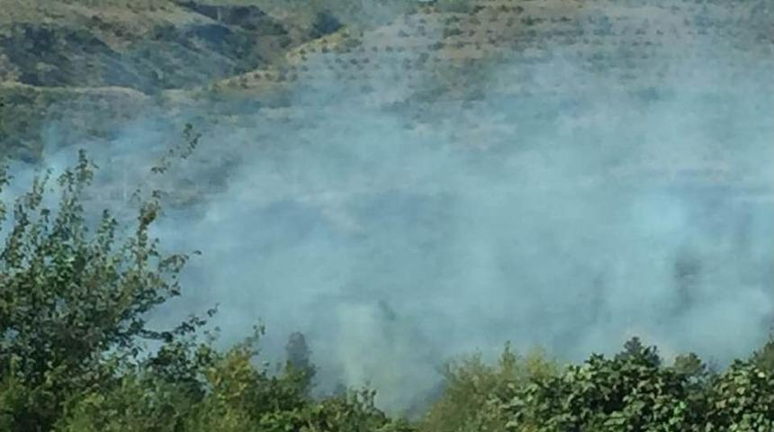 Gaziantep&rsquo;te Orman Yangını