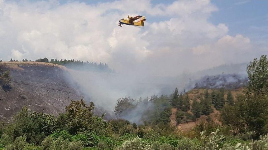 Osmaniye&rsquo;de Orman Yangını