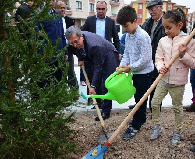 Yeşil Pursaklar Huzur Veriyor