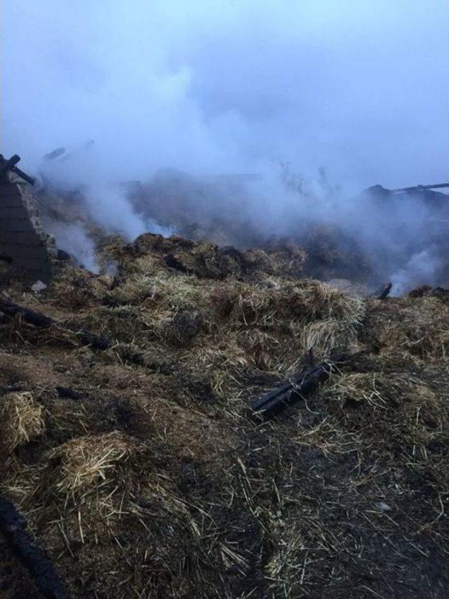 Bolu’nun Tatlar Köyünde Çıkan Yangında 2 Hayvan Telef Oldu