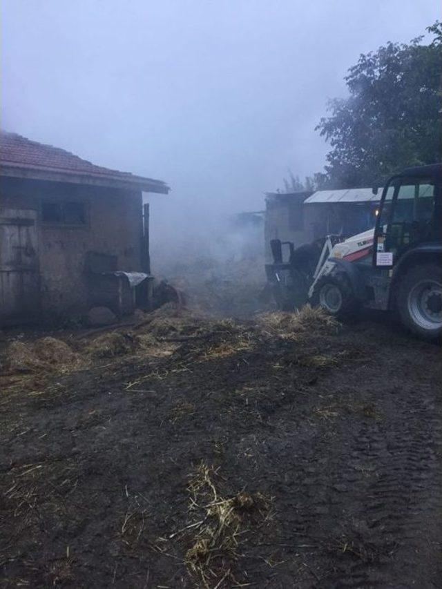 Bolu’nun Tatlar Köyünde Çıkan Yangında 2 Hayvan Telef Oldu