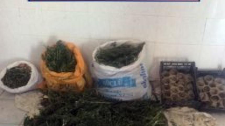 Jandarma 37,250 Kilo Esrar Yakaladı