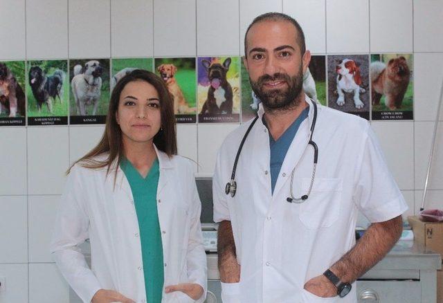 &Ouml;l&uuml;me Terk Edilen K&ouml;pek Koruma Altında 2