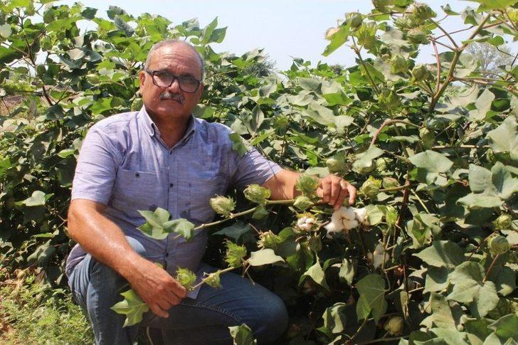 (özel) Kuru Üzümün Zorlu Yolculuğu G3