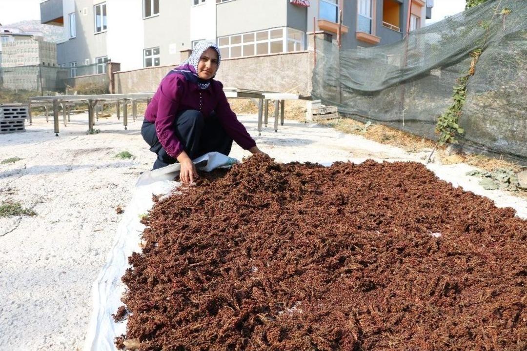 Kahramanmaraş&rsquo;ta Kadın Girişimciler İ&ccedil;in Program