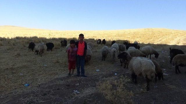 En B&uuml;y&uuml;k Hayali Şaşırttı 1