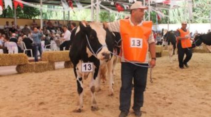 Çiğ İnek Sütüne Zam