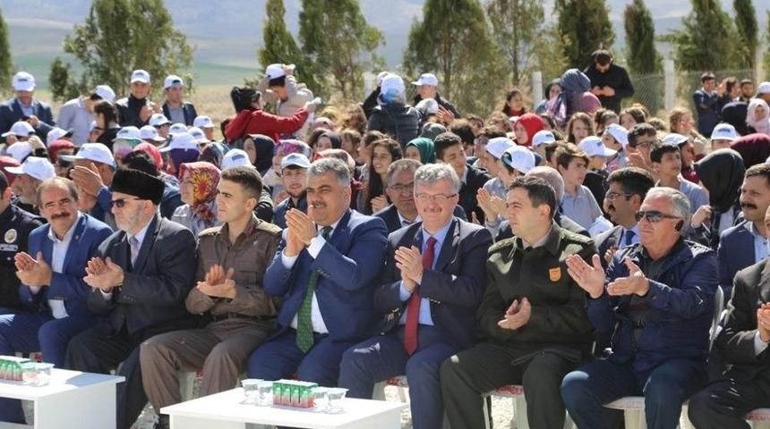Ereğli Belediyesi Ağa&ccedil;landırma &Ccedil;alışmalarını S&uuml;rd&uuml;r&uuml;yor