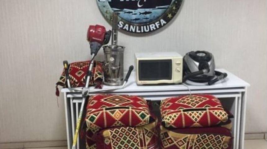 Şanlıurfa&rsquo;da Hırsızlık Operasyonu: 8 G&ouml;zaltı