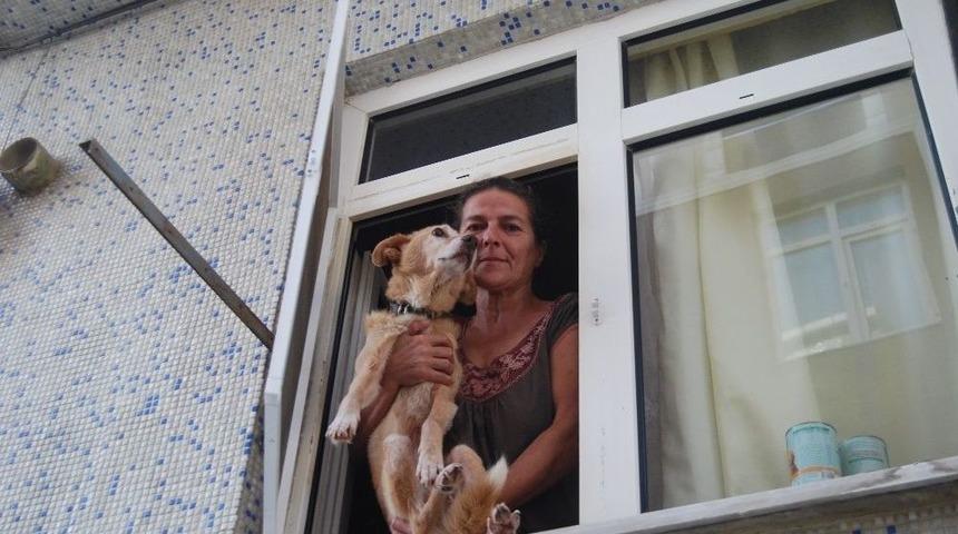 K&ouml;pek Havlaması Mahalleli İle İnşaat İş&ccedil;ilerini Birbirine D&uuml;ş&uuml;rd&uuml;