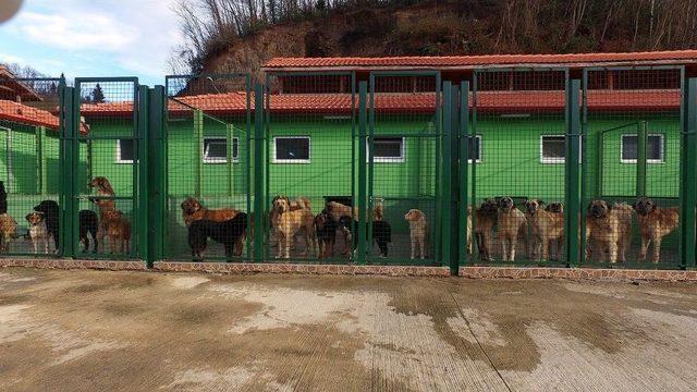 Karadeniz’de İlk Ve Tek Olma Özelliği Taşıyan Birçok Yatırım Trabzon’a Kazandırılıyor