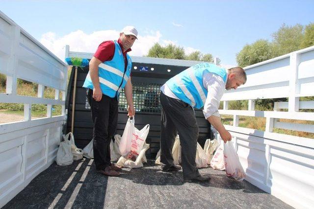 Varto’da 150 Kişiye Kurban Eti Dağıtıldı