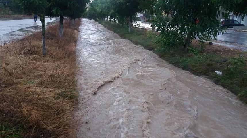 Ergene Selin Yaralarını Sarıyor