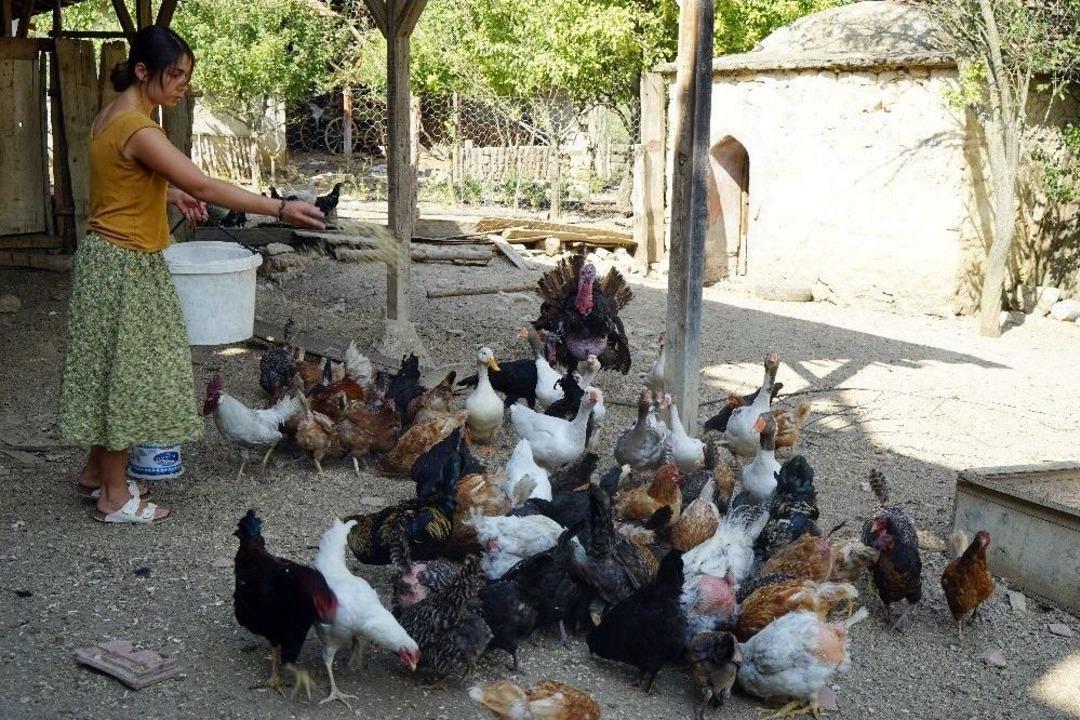 (&ouml;zel) &Uuml;niversiteli Gen&ccedil; Kız, Kastamonu&rsquo;da İmece Usul&uuml; K&ouml;y İşlerinde &Ccedil;alışıyor