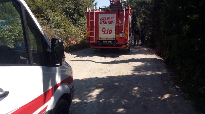 Pendik Aydos Ormanlarında Yangın