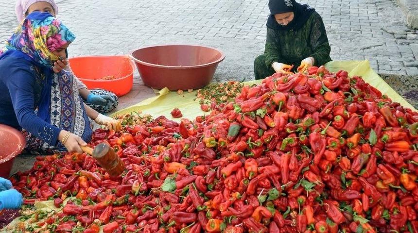 (&ouml;zel) Suriye Sınırında Sofralara Tat Veren Acı