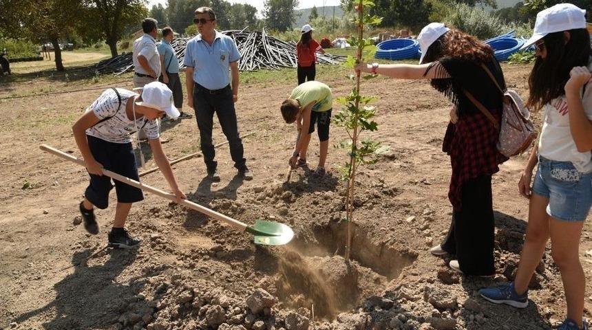 &Ouml;zel Yetenekli &Ouml;ğrencilerden Doğaya Katkı