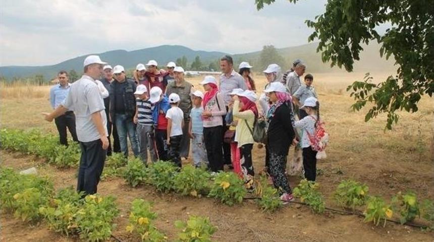 Çocuklara Doğayı Ve Tarımı Sevdirmek İçin "tarım Ve Çocuk" Etkinliği Düzenlendi