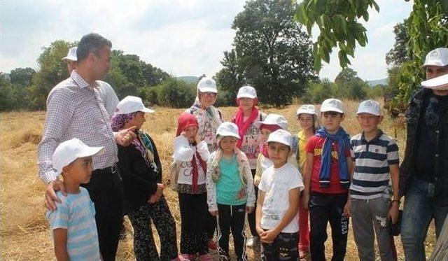 Çocuklara Doğayı Ve Tarımı Sevdirmek İçin 