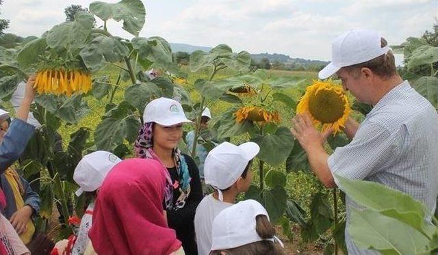 Çocuklara Doğayı Ve Tarımı Sevdirmek İçin 