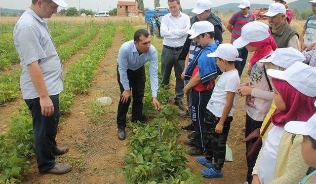 Çocuklara Doğayı Ve Tarımı Sevdirmek İçin 