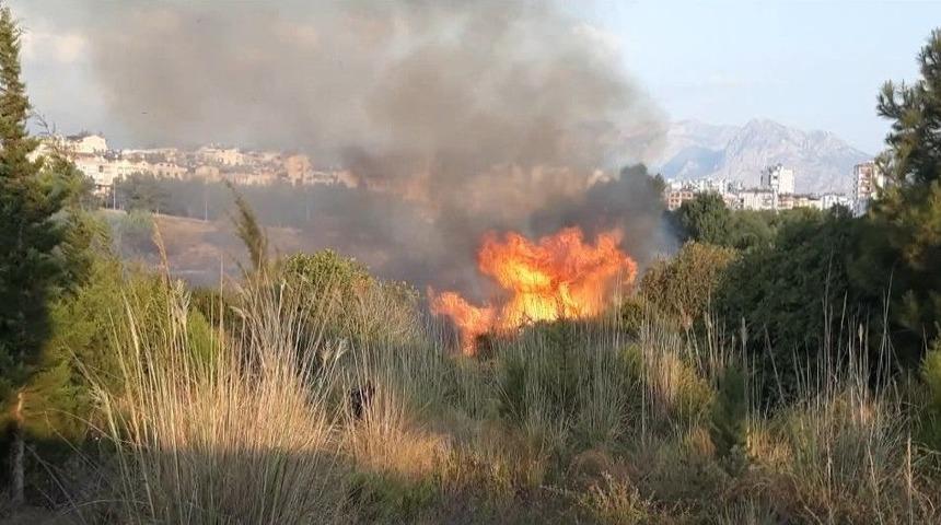 Antalya&rsquo;da Konyaaltı Sahiline Yakın Alanda Orman Yangını