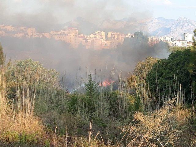 Antalya’da Konyaaltı Sahiline Yakın Alanda Orman Yangını