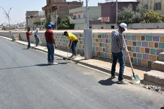 Kayyum İle İlçeler Hizmet Görmeye Başladı