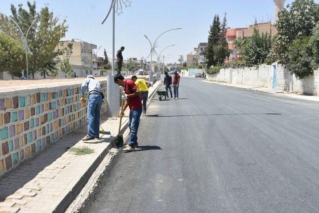 Kayyum İle İlçeler Hizmet Görmeye Başladı